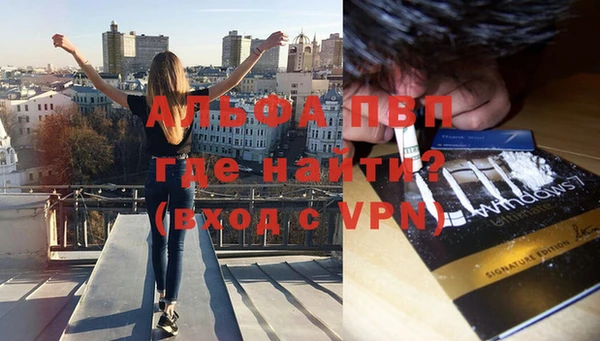 трава Новозыбков