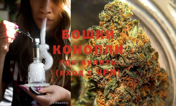 трава Новозыбков